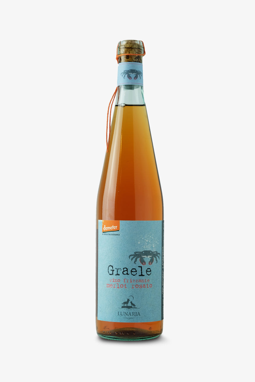 Graele - Lunaria Cantina Orsogna | SAVORE