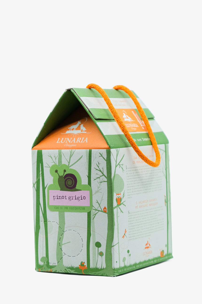 Bag in Box - Pinot Grigio Terre di Chieti IGT